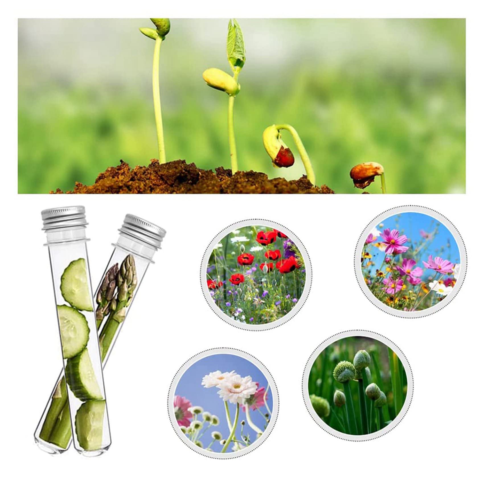 90 PCS Reagenzgläser 45 ml Kunststoff Reagenzgläser Einzelreagenzgläser mit Deckel Probenaufbewahrungsröhrchen Transparente Röhrchen Set