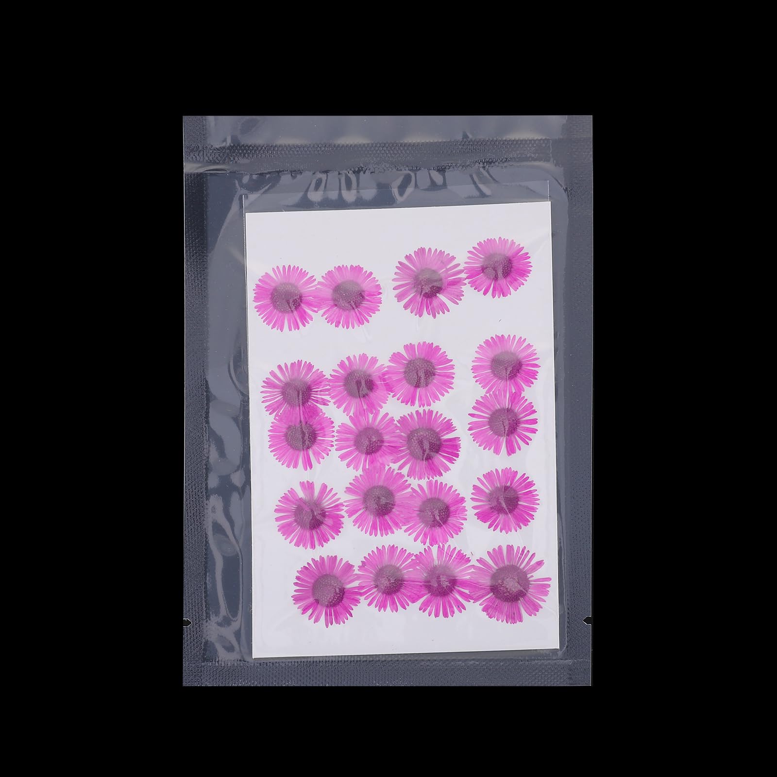 PATIKIL Dried Pressed Flower - Image 4