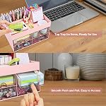 Meiikun Organisateur de bureau et accessoires, Boîte de rangement de papeterie en plastique 4 Des tiroirs, 3 Compartiments & un plateau haut, les organisateurs de salle de bains Porte brosse de maquillage pour les femmes, 21 cm x 14.2 cm x 12.2 cm (puce)