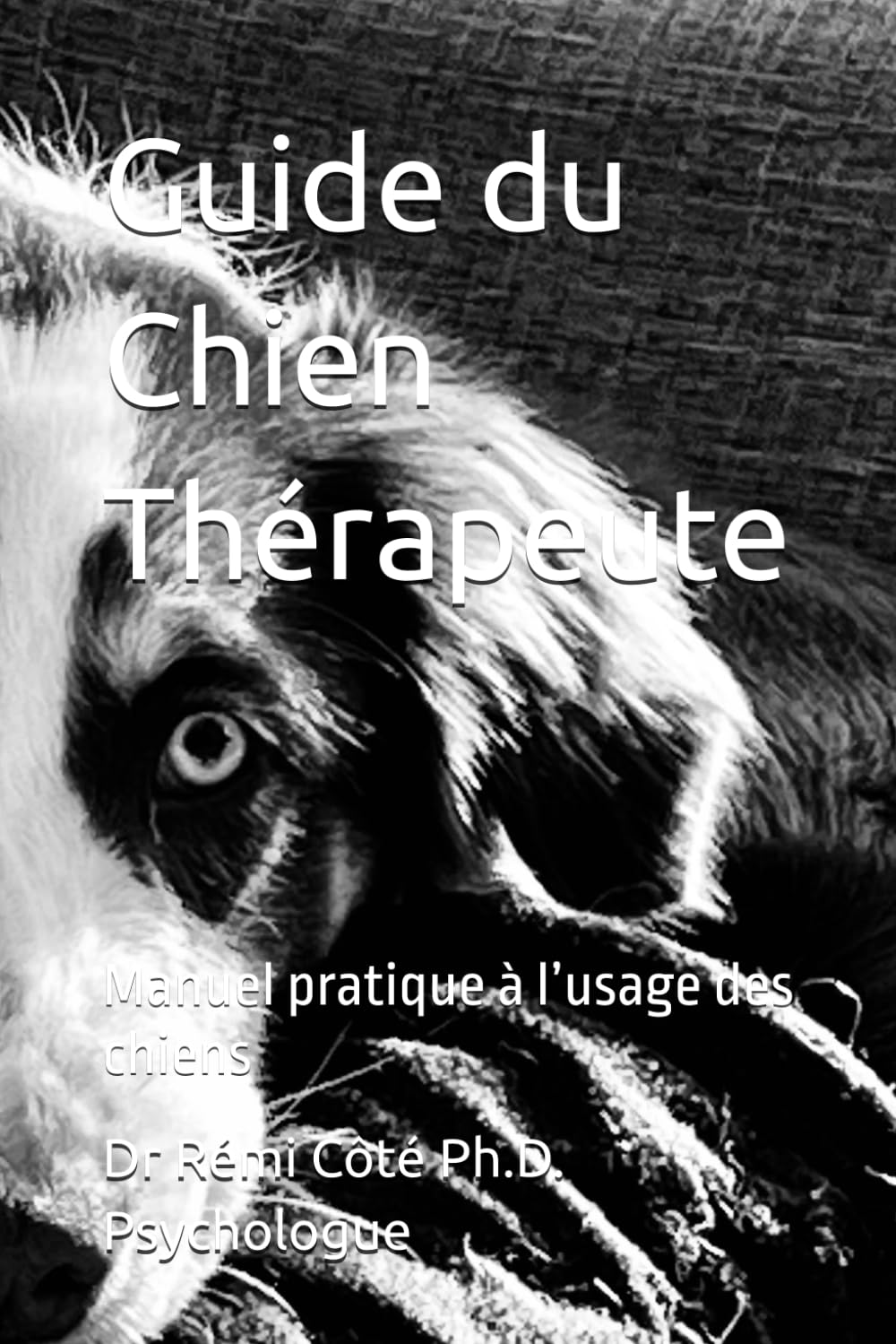Guide du Chien Thérapeute: Manuel pratique à l’usage des chiens: 18 (hypnose-clinique.ca)