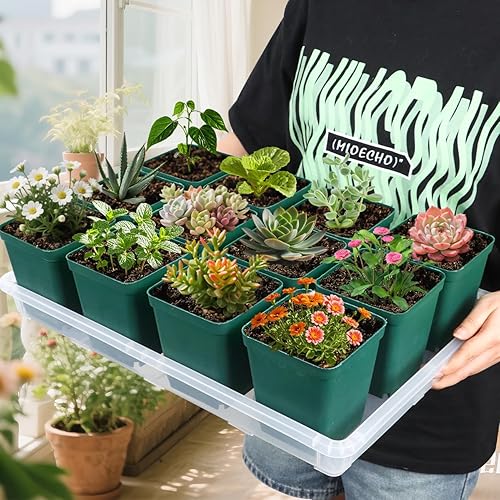 Vista 36 de Paquete de 5 bandejas para macetas de guardería, bandeja de transporte y sujeción para plantas para maceta, soporte de transporte de 24 celdas
