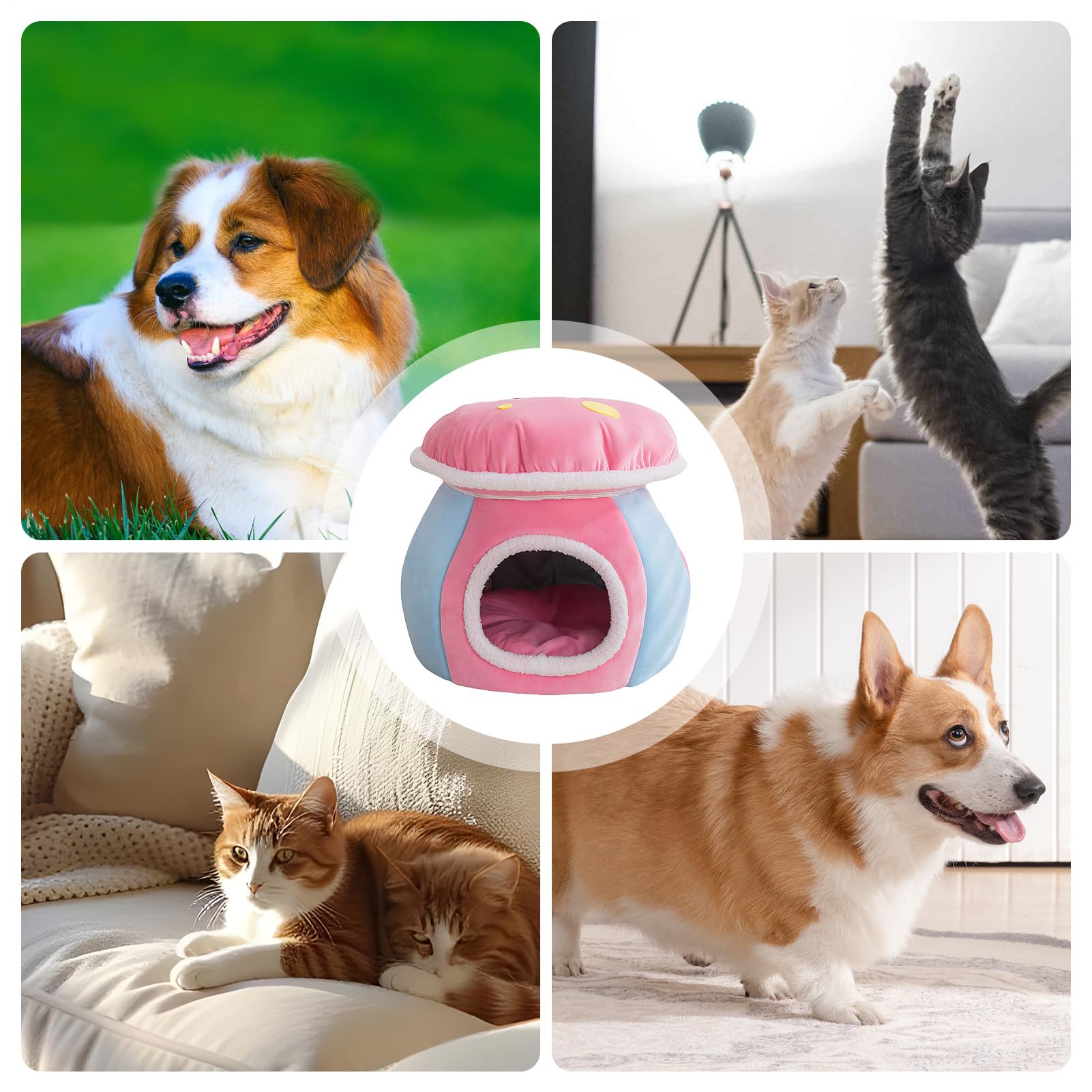 Lit Caverne pour Chat | Niche pour Chien en Forme de Champignon Partiellement Fermée,Maison pour Chat D'Intérieur - Chiot D'Intérieur, Salon, Chambre, Balcon, Appartement, Maison