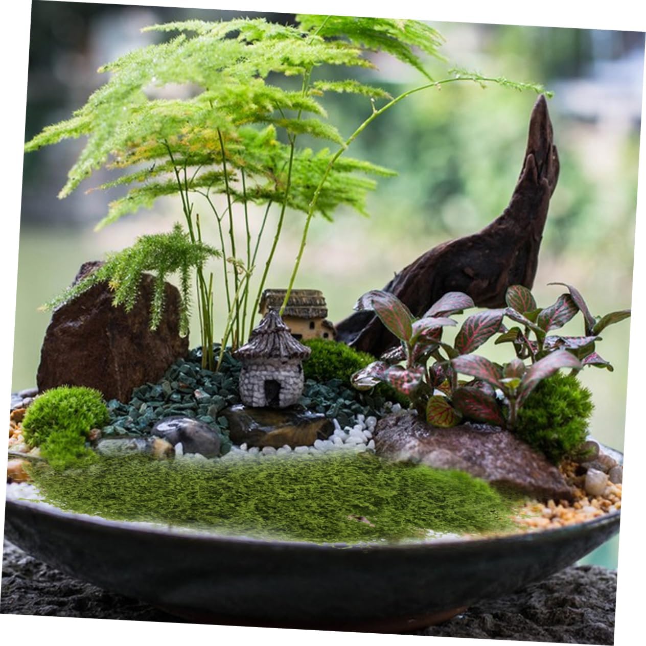 Anneome Artificial Craft Moss for Planters Versatile Faux Green Grass for Home Decor Landscaping and Crafting for Terrariums and Fairy Gardens