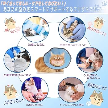 Amazon | 2024改良 エリザベスカラー 犬 ソフト 【Amazon限定