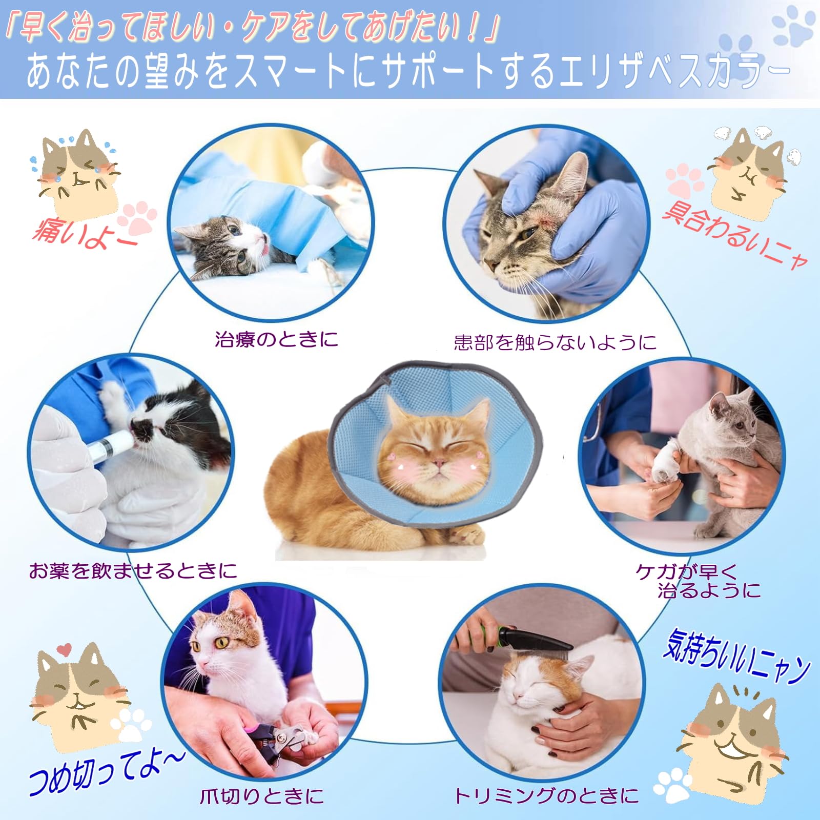 Amazon | 2024改良 エリザベスカラー 猫 犬 【Amazon限定ブランド 傷口