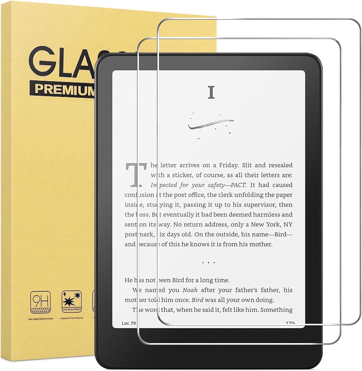 2 Pack Glass Protector