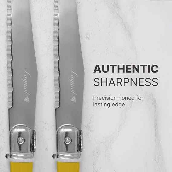 Steak Knives Set of 4, Forged Stainless Steel, Serrated Steak Knife, Laguiole French Style with Crafted Multi Color Handle, for Meats, Fish, Bread and Cheeses
