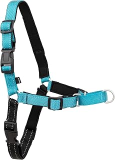 PetSafe Deluxe Easy Walk No-Pull Dog Harness Small Ocean - Breathable Martingale Chest Harness Stops Pulling Without Choking