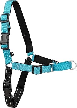 PetSafe Easy Walk Deluxe Dog Harness, No Pull Dog Harness – Perfect for Leash & Harness Training – Stops Pets from Pulling and Choking on Walks – Medium, Ocean