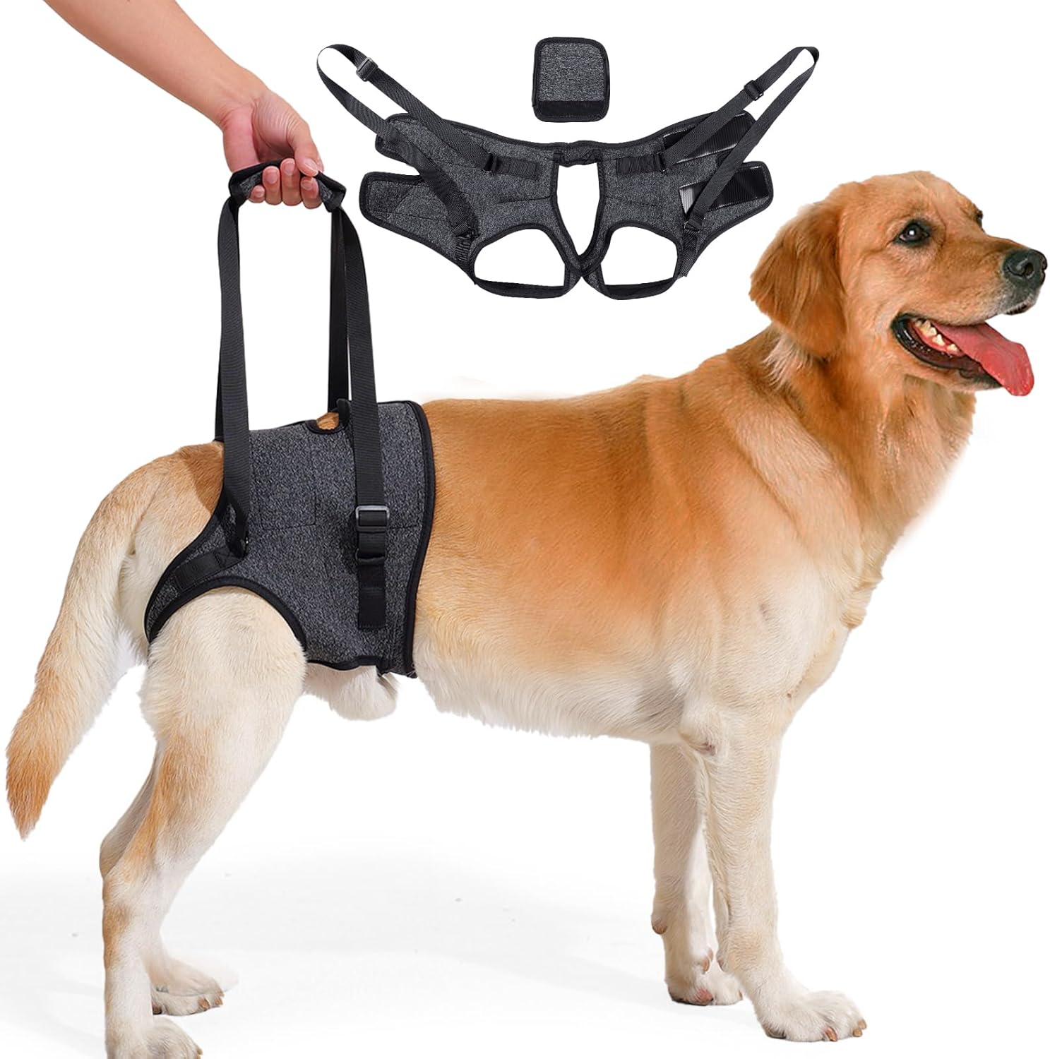 Dog Lifting Harness for Back Legs, Dog Support Harness Adjustable Walking Aid, Hind Leg Brace for Injured, Elderly Dogs (Dark Grey, L)