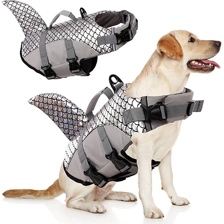 shark dog harness