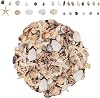 1200 PCS Tiny Sea Shells Set, Small Natural Mixed Ocean SeaShells Starfish for Beach Theme Party, Wedding, DIY Crafts, Fishtank, Vase Filler, Home Decoration