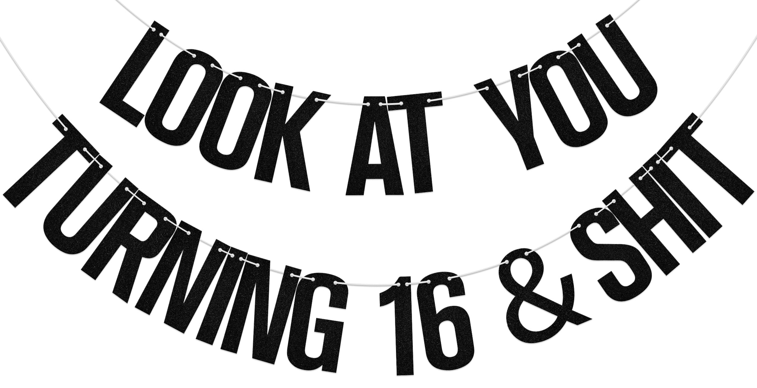Aumccxz Look At You Turning 16 & Shit Banner Happy 16th Birthday Banner Cheers to 16 Years Old Birthday Party Decorations Black