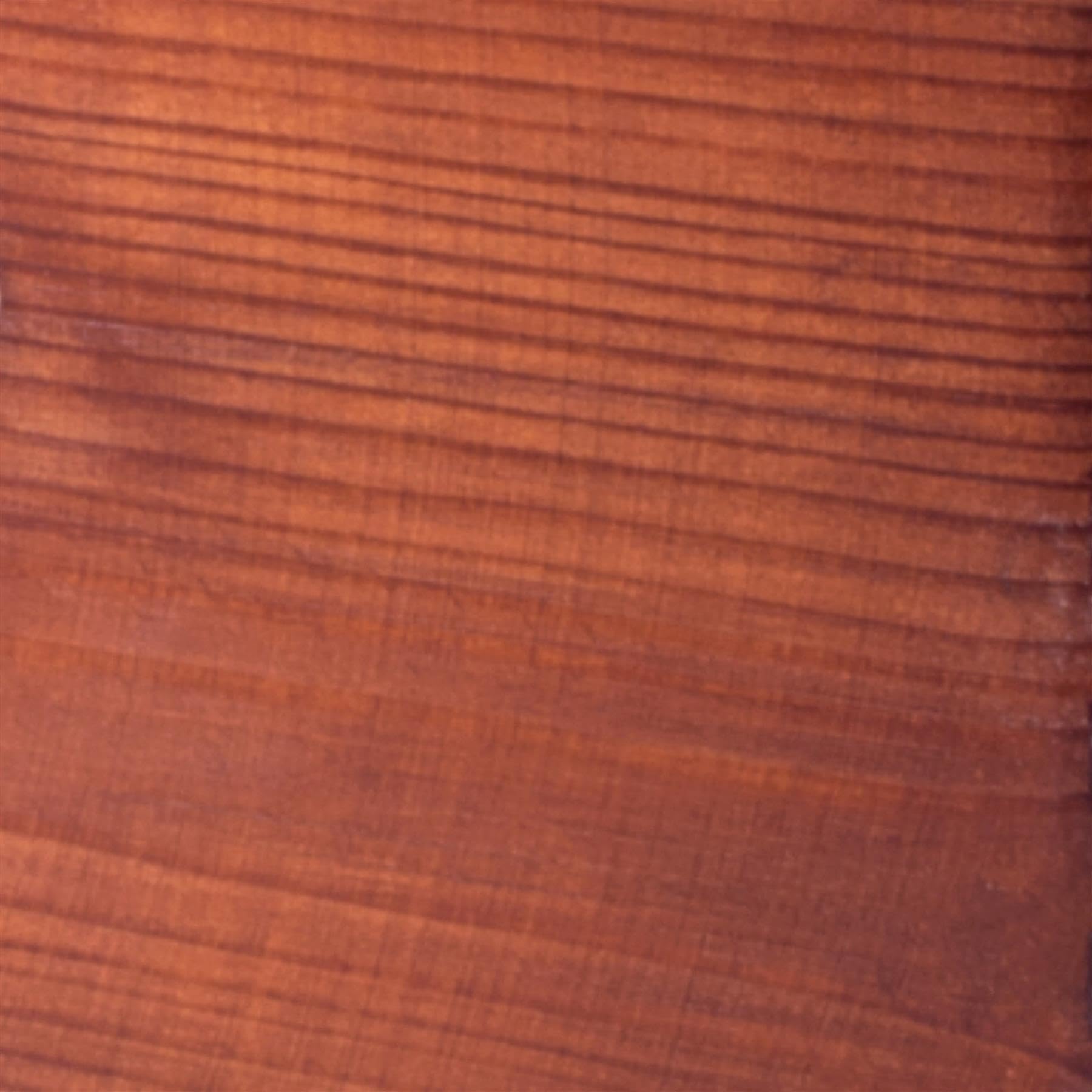 Woodeedoo Brazilian Walnut Water Based Wood Stain | Wood Dye | Ready To Use | Environmentally Friendly | Solvent Free | Odour Free | 2 L |