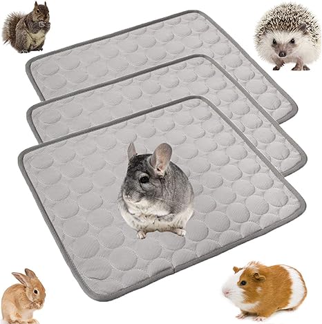 hamster bedding amazon