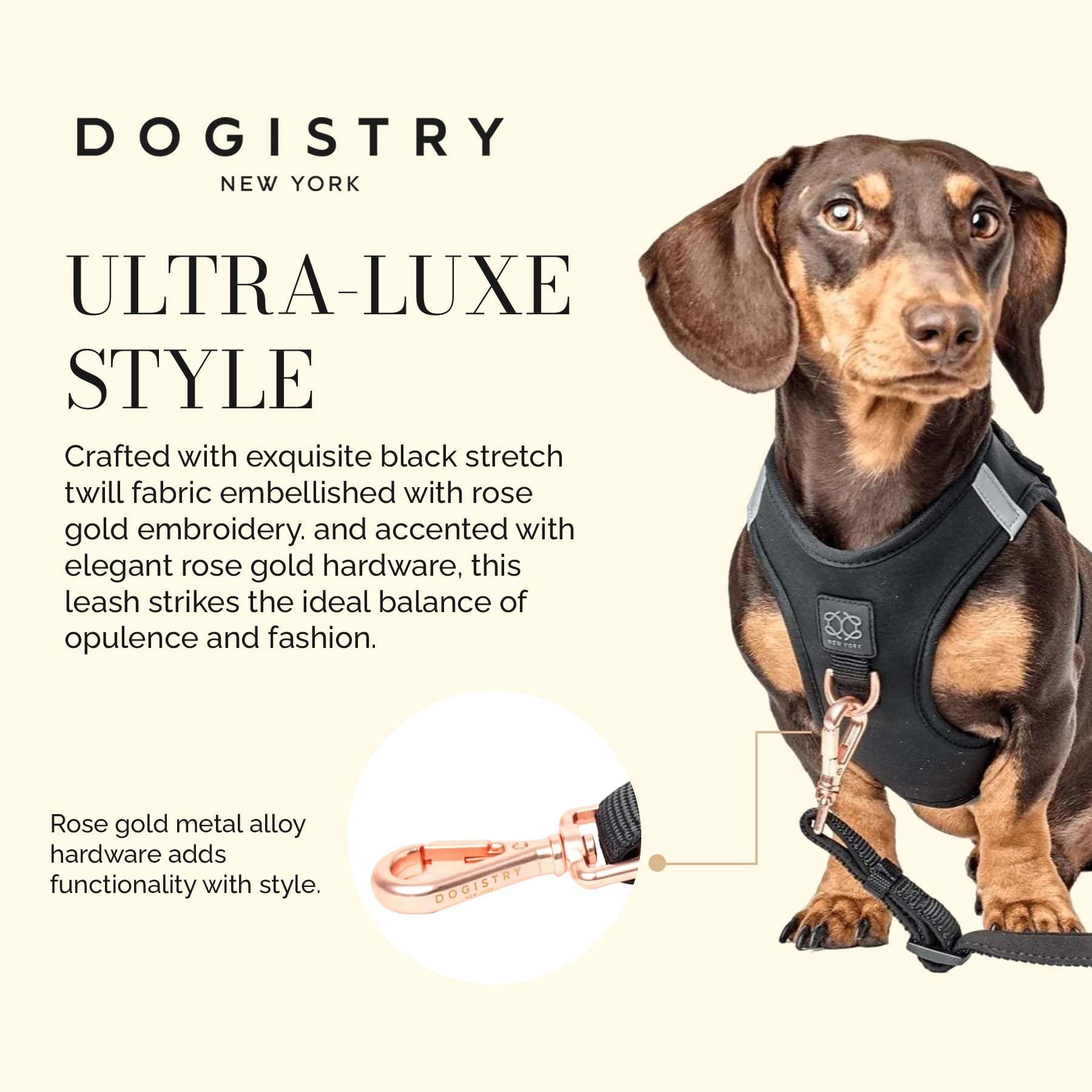The DOGISTRY – Laisse pour chien City – Noir – Design mains libres réglable primé – Matériel de luxe or rose et fonctionnalité avant-gardiste – Taille M