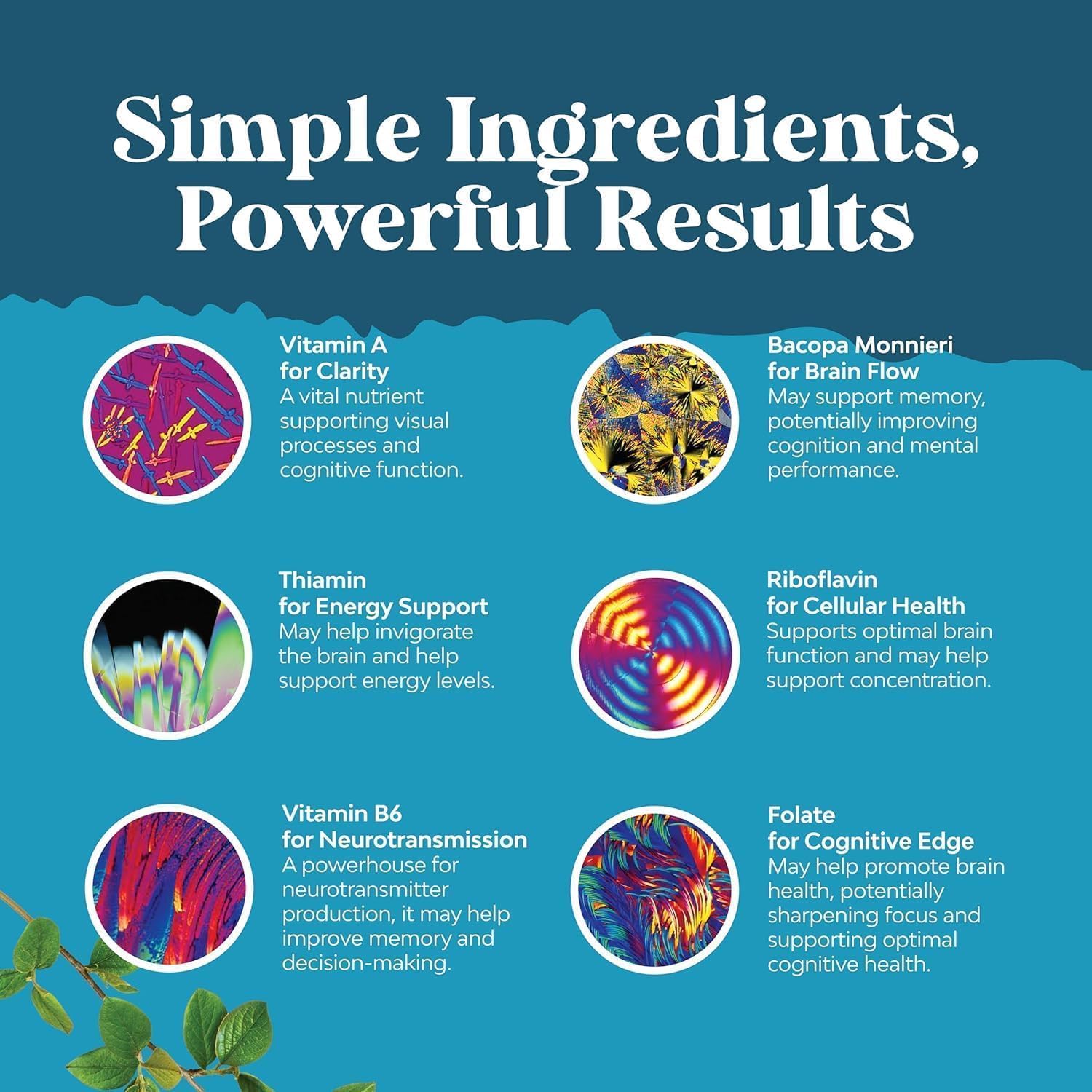 Nootropic Brain Supplement for Memory and Focus Support - Vitamins for Mental Support & Clarity with Bacopa Monnieri, VIT A, B6, Riboflavin, Niacin, Thiamin & Folate - Cognitive Complex - 90 Ct - Image 6