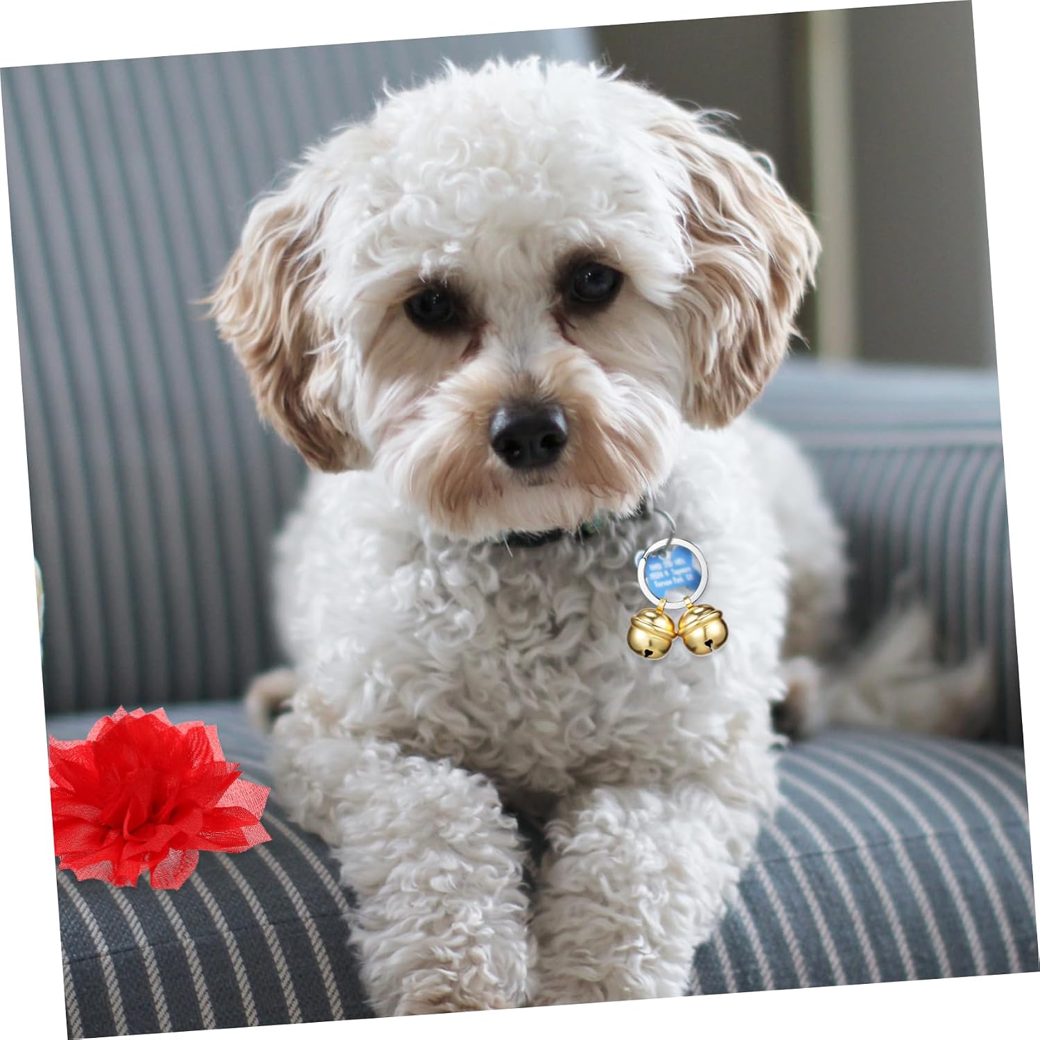 Sturdy Pet Collar Accessories Cat and Dog Collar Bells Bell for Dog Comfortable Material