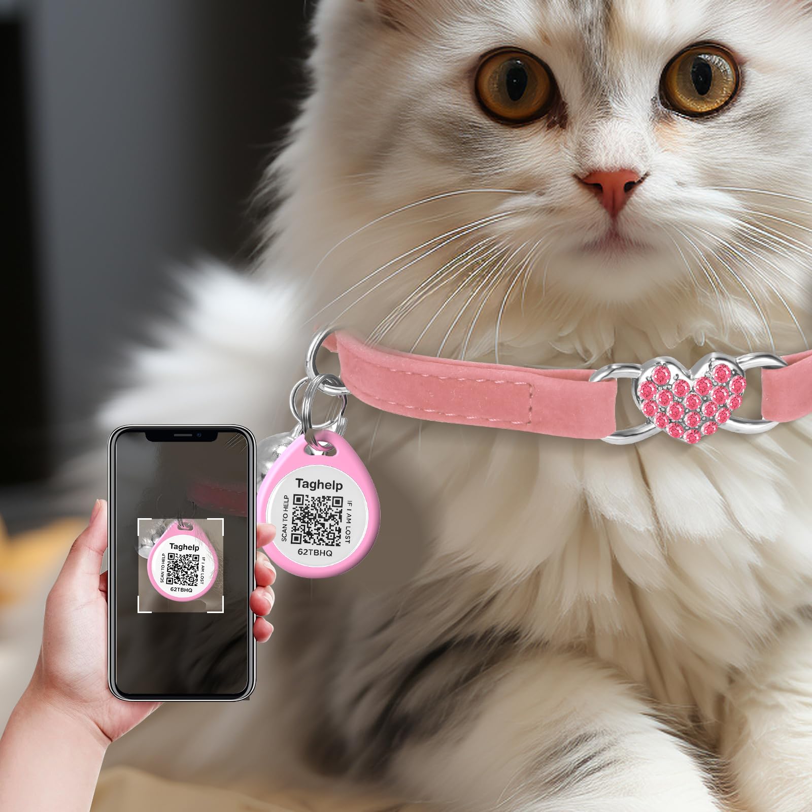 2 Stück Katzen Halsbänder Mit Perlen - Verstellbare Haustierhalsbänder Mit Herz-Anhänger