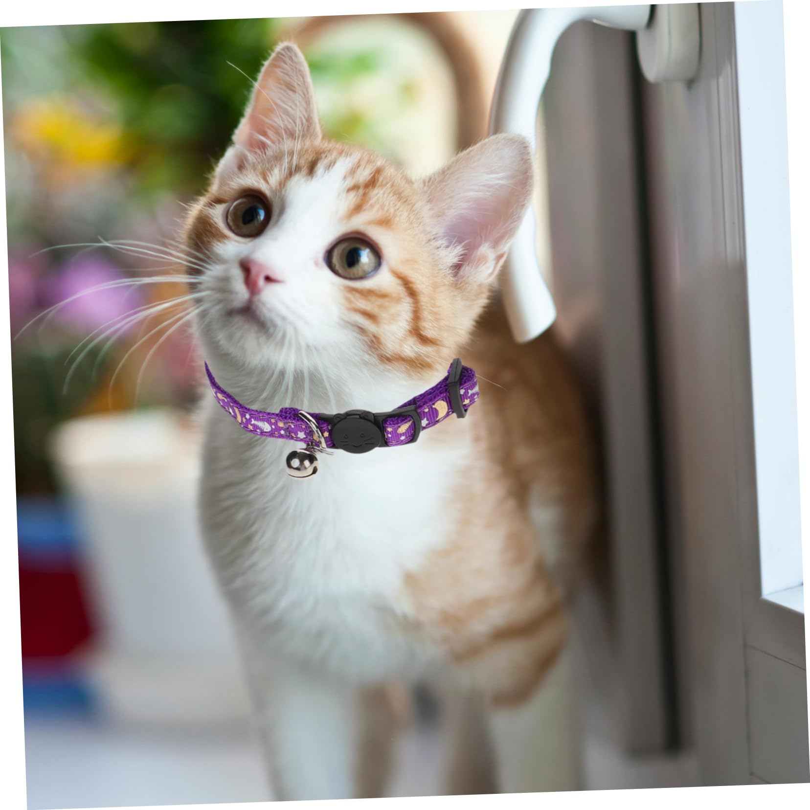 Toddmomy 15pièces Colliers Réfléchissants pour Chats Colliers Confortables avec Clochette Neck Circles Décoratifs pour Chats