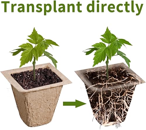 Miniatura 4 de SYITCUN Bandeja de inicio de semillas de 480 células, paquete de 40 unidades para plantar semillas, macetas de turba biodegradables, kit de