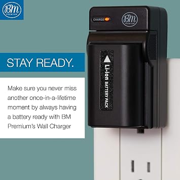BM NP-FV70 Battery and Charger for Sony FDR-AX700, HDR-CX210, CX220, CX230, CX260V, CX290, CX330, CX380, CX430V, CX580V, CX760V, CX900, PJ340, PJ540, PJ670, PJ810, FDR-AX33, AX53, AX100 Camcorder