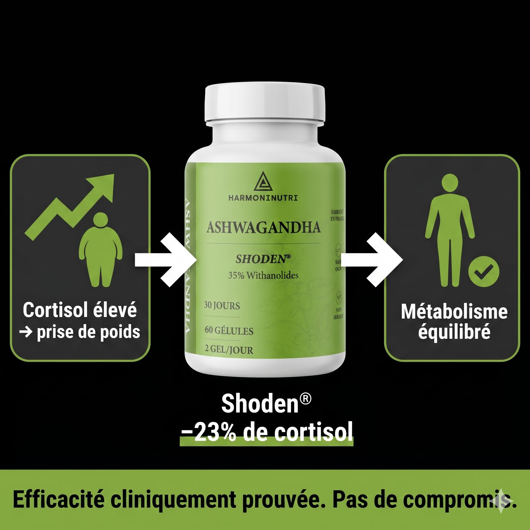 Ashwagandha EXTRA FORT 8000mg : et si votre cortisol sabotait sommeil et poids ? | Shoden® 35% Withanolides | EBOOK & SUIVI INCLUS | Facile à avaler | Plante adaptogène | Anti-Stress