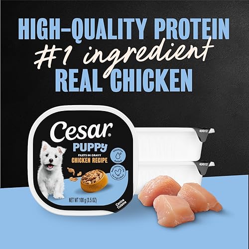 Miniatura 4 de Cesar Puppy Filets in Salsa Alimento húmedo para perros, receta de pollo, bandejas fáciles de pelar, 24 unidades