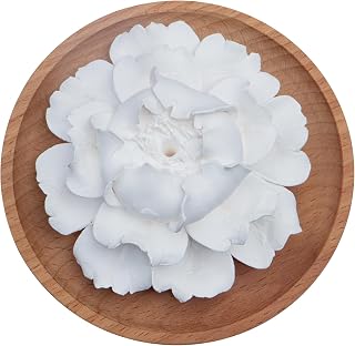 feyluny Passive Oil Diffuser for Essential Oil-Non-Electric Porcelain Aromatherapy Diffusers for Small Mini Room, Desk Decorative, Bathroom (Wooden Plate - Peony Flower)