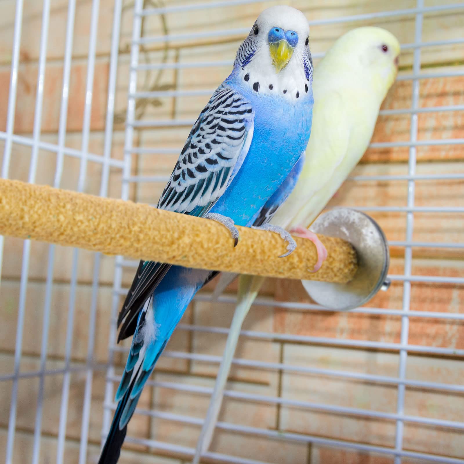 10 Pieces Bird Perch Stand Parrot Stand Paw Grinding Stick Parrot Perch Rough Surfaced Bird Cage Stand Colorful Wooden Parakeet Perch Toys for Cockatiels Cage Accessories 4
