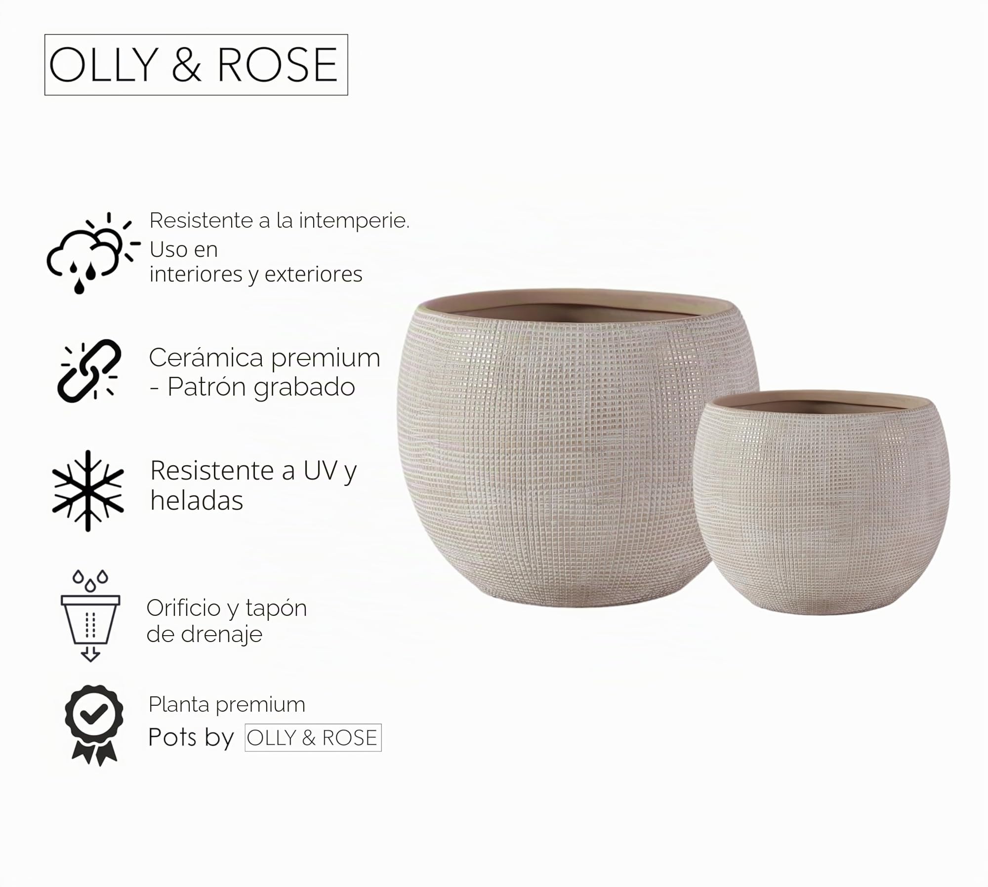 Olly & Rose Juego de macetas de cerámica beige