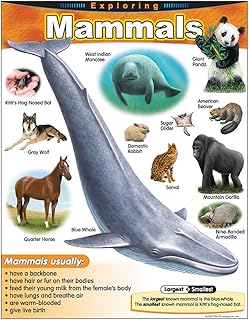 Exploring Mammals Learning Chart