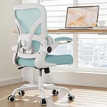 Mesh Office Chair, 330LBS Ergonomic Desk Chair with Adjustable Lumbar Support, Executive Computer Chairs for Home Office, Blue
