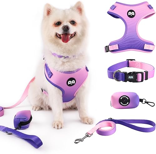 Miniatura 7 de QQPETS Arnés para perro con correa y soporte para bolsa de excrementos, juego de 4 piezas, ajustable sin tirones, chaleco acolchado de malla suave
