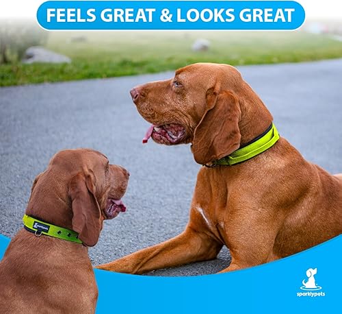 Miniatura 8 de SparklyPets Collar de perro resistente con asa para perros medianos y grandes, collar profesional con costuras reflectantes, mango suave y hebilla
