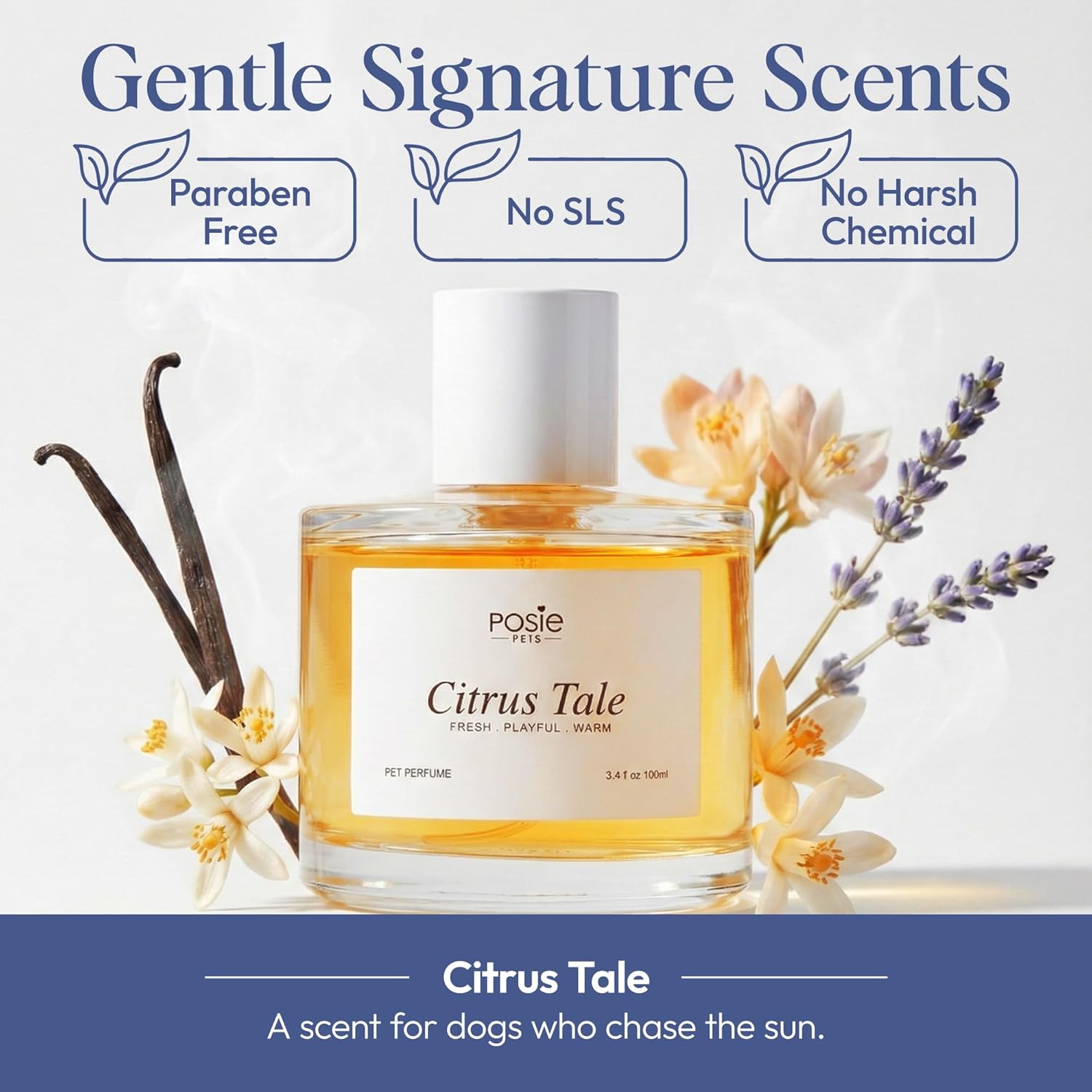 Dog Perfume Spray Long Lasting with Orange Blossom, Lavender, Vanilla Scent - Water-Based, Vegan Cologne - Luxury, Alcohol-Free Grooming Deodorizer for Dogs - Citrus Tale, 3.4 Fl Oz - Image 3