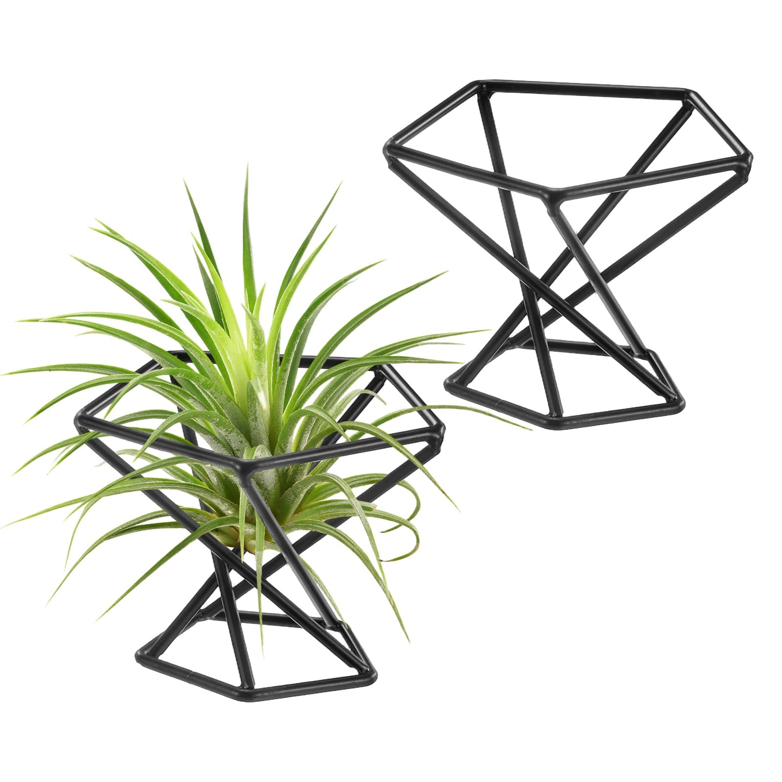 M METERXITY 2-Pack Geometric Air Plant Holders, Hexagonal Metal Airplants Stand Rack Holder Shelves for Home Decor/Indoor Outdoor Plants, Tillandsia Pot Containers [Black, 1.65" H]
