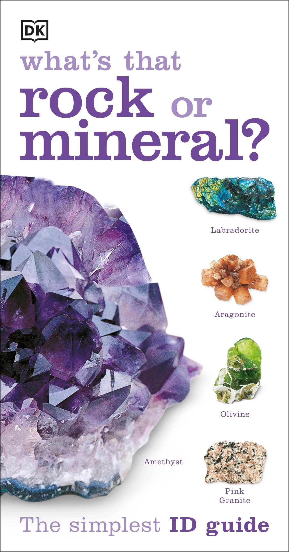 Whats that Rock or Mineral: A Beginner's Guide (DK What's That?)