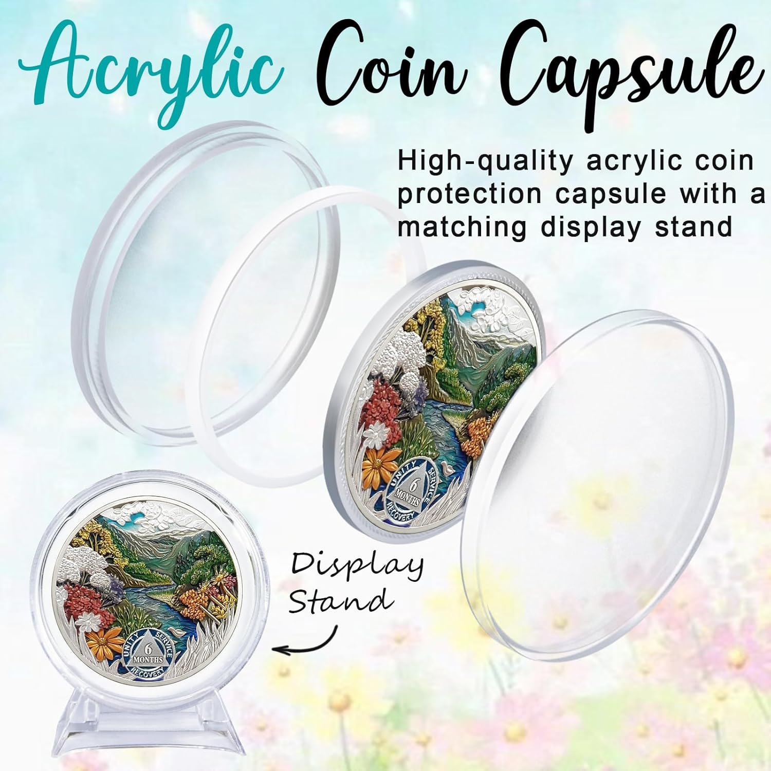 CHURYUML 6 Month Sobriety Coin 180 Day Sobriety Chip Six Month AA Coins Recovery Medallions Sobriety Gifts for Men Women Alcoholics Anonymous Gift with Capsule, Display & Card