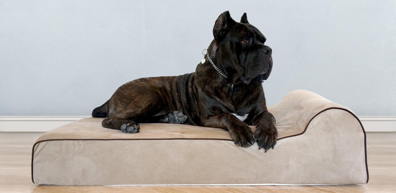 Bully Beds Orthopedic Memory Foam Dog Bed - for Aging, Elderly and Arthritic Dogs with Joint and Muscular Problems - Waterproof Dog Beds for Large Dogs - Large, 48 x 30 x 7 Inches -  Tan