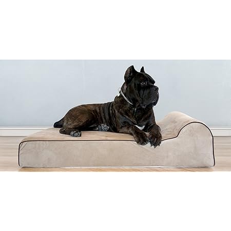 bully beds amazon