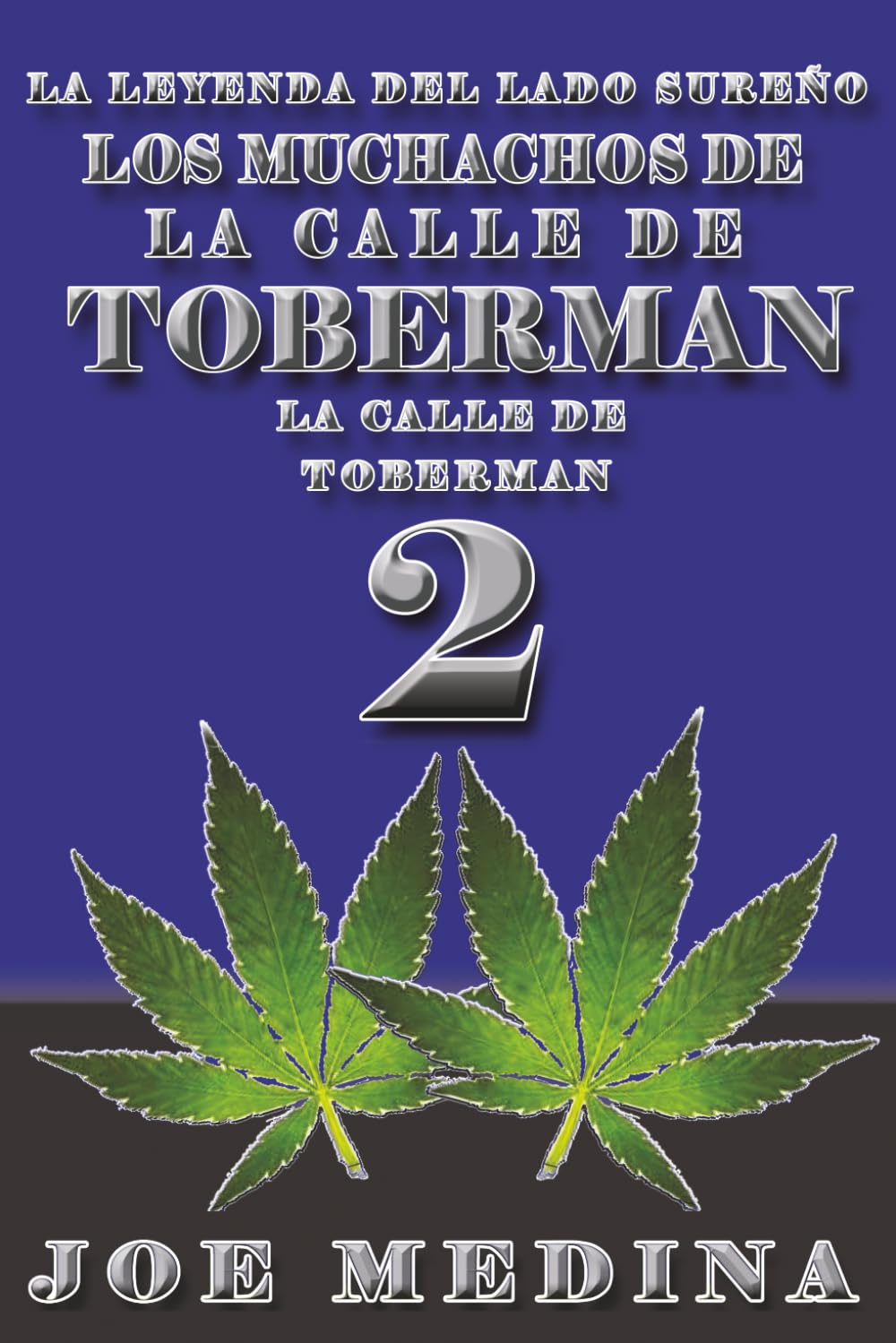 La leyenda del lado Sureño: los MUCHACHOS de la CALLE de TOBERMAN: la CALLE de TOBERMAN 2