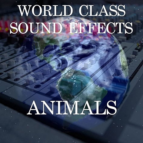 Dog German Shephard Barks Distant Animal Domestic Sound Effects Sound Effect Sounds EFX Sfx FX Animals Dog