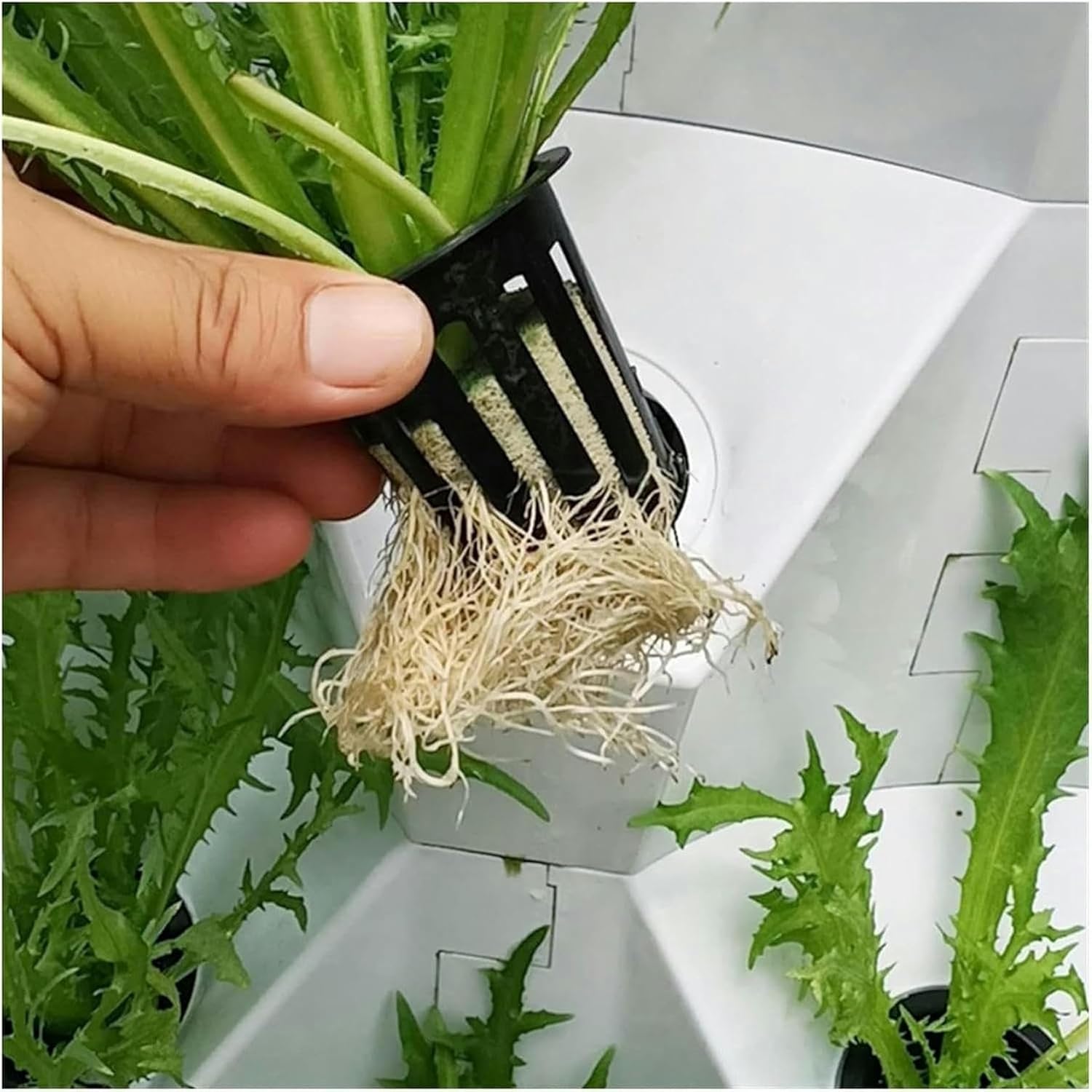 Hydroponic Grow Kit Hydroponic Grow Kit, Hydroponics Growing System Smart Hydroponics Vertical Garden Grow Kit Pineapple Tower Indoor Outdoor for Planting Herb Vegetables Fruits