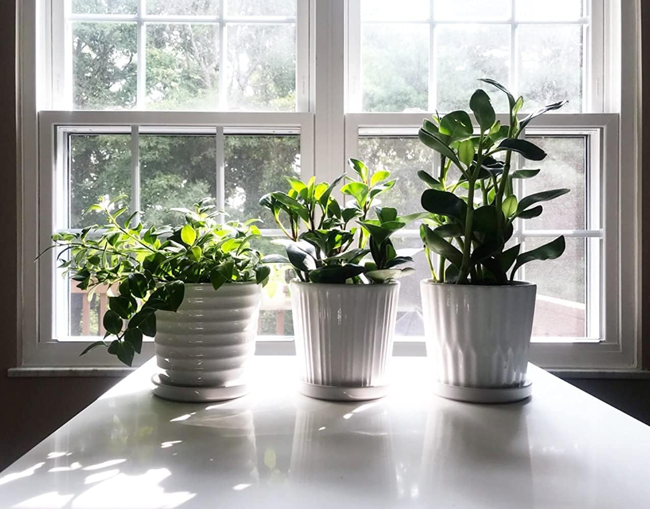 Lawei 4 Pack Ceramic Planter Pots - 6 Inch Flower Pots with Drainage and Saucers, Round Succulent Pots White Garden Pots for Decorate Home, Office, Outdoor