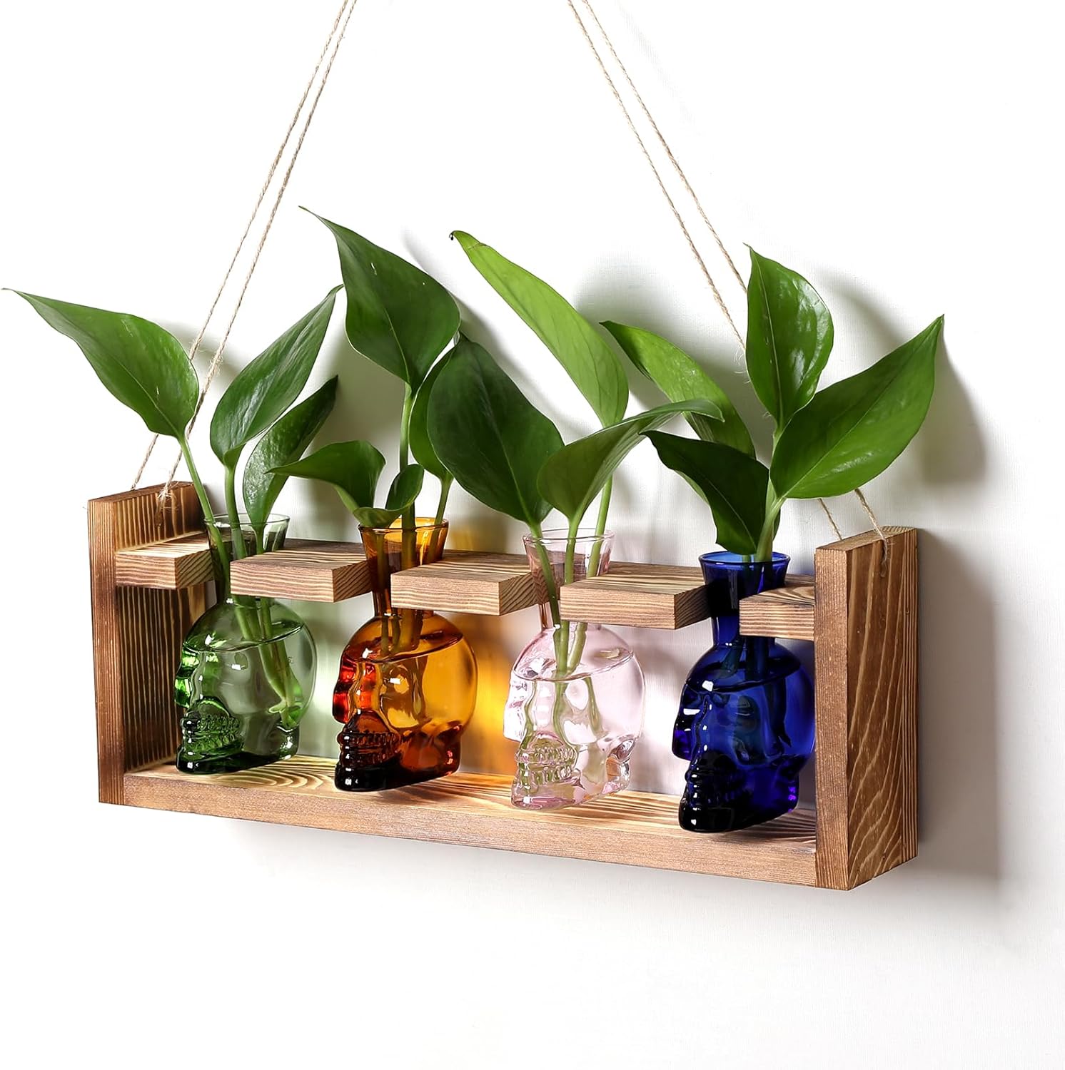 Plant Propagation Stations Halloween Skull Plant Terrarium Kit Glass Vases Gift for Father Air Planter Home Office Decor