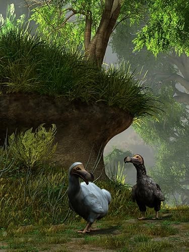 Posterazzi Un par de pájaros de Dodo caminan a lo largo de un camino del bosque Póster impreso, (12 x 16)
