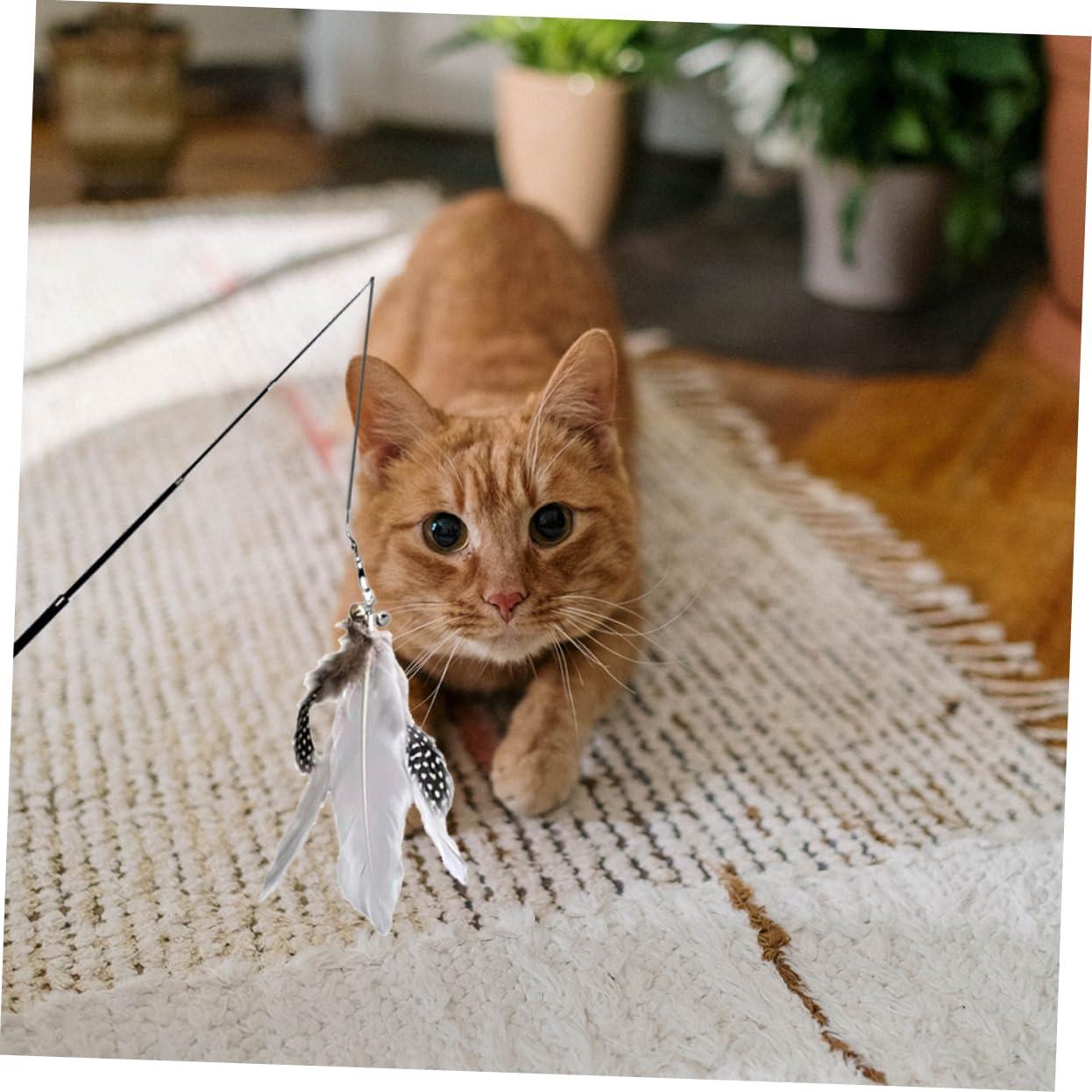 Beavorty 3sets Neugier Katze Spielzeug Teleskop Teaser Stangen Spielzeug Für Katze Übung Fitness 2 Stücke * 3