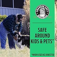 Vista 8 de Grandpa Gus's Control natural avanzado de plagas con clavo y aceite de semilla de algodón, insecticida para interiores y exteriores, para arañas