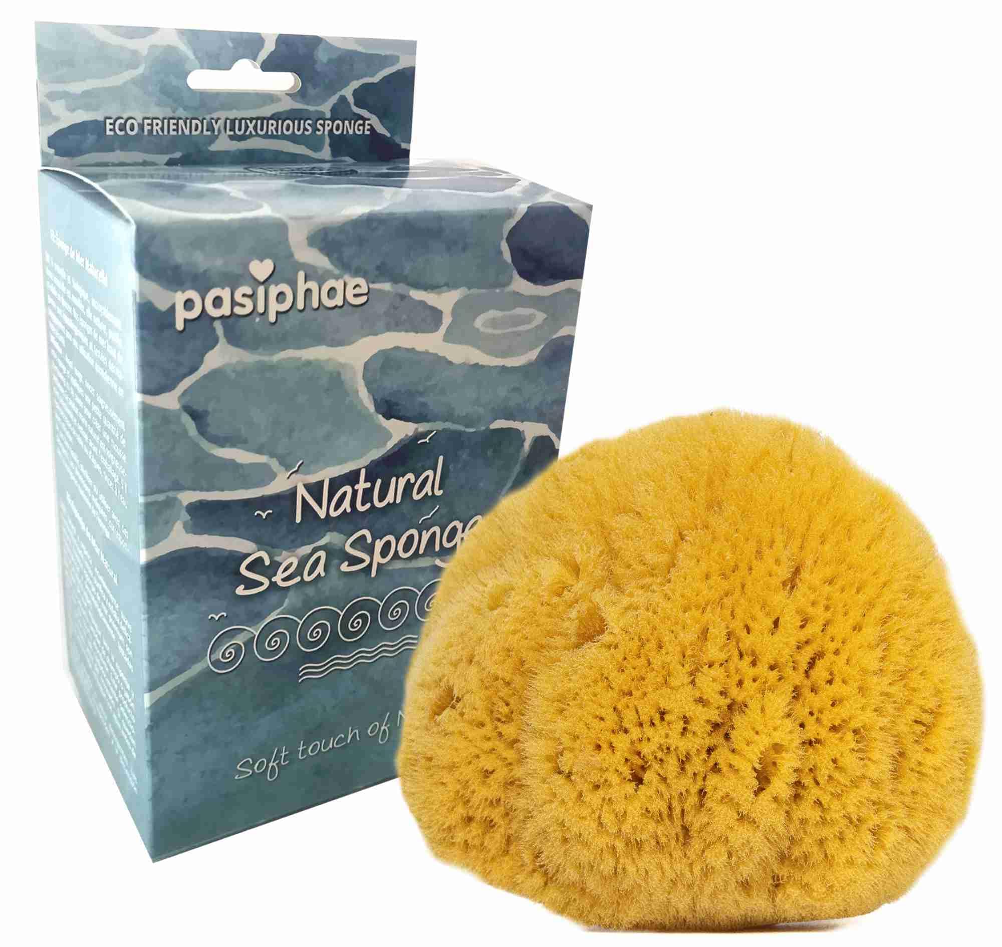 Pasiphae Naturalna żółta gąbka morska, do łazienki, peelingująca ciało, wysokiej jakości ekologiczny prezent do kąpieli, rozmiar M (11-13 cm)